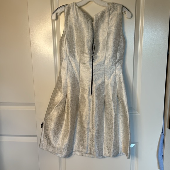 Zara Tulip Dress Small - Picture 7 of 9